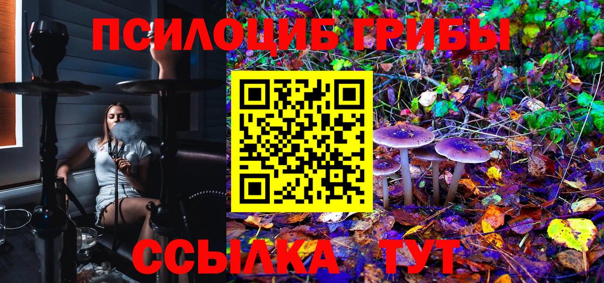Галлюциногенные грибы Cubensis Саранск