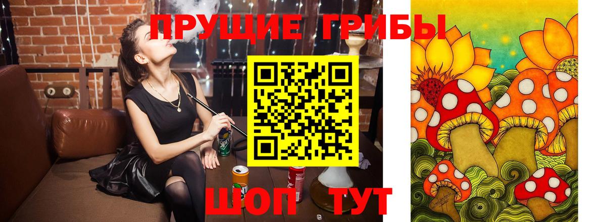 Саранск  Галлюциногенные грибы Cubensis  Вход с VPN 